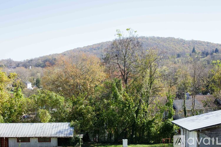 A house with a metal roof is in the foreground with a hill covered in trees in the background.