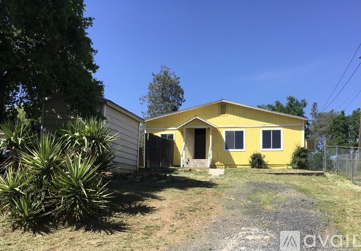 A yellow house with a white fence and a green plant in front.