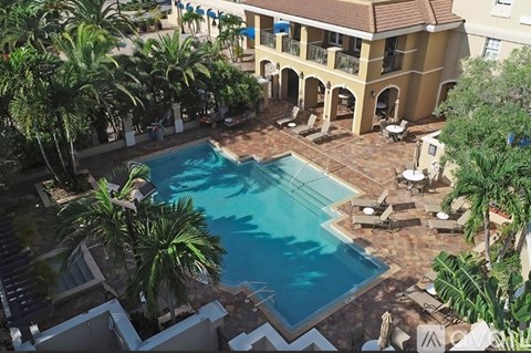 A large swimming pool surrounded by palm trees and lounge chairs.