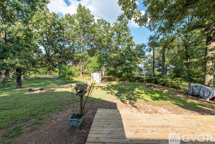 A wooden walkway leads through a lush green garden.