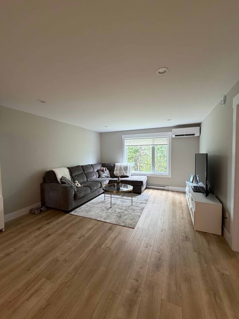 A living room with a grey sofa and a wooden floor.