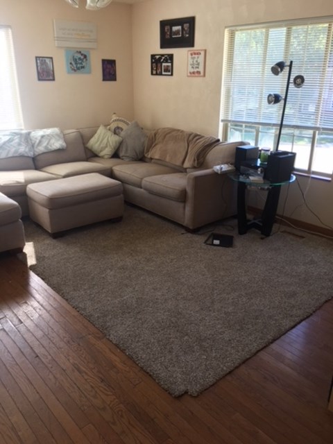 A living room with a couch, ottoman, and a rug.
