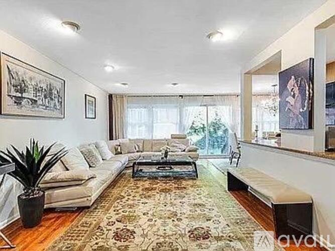 A living room with a rug, a couch, a coffee table, and a potted plant.