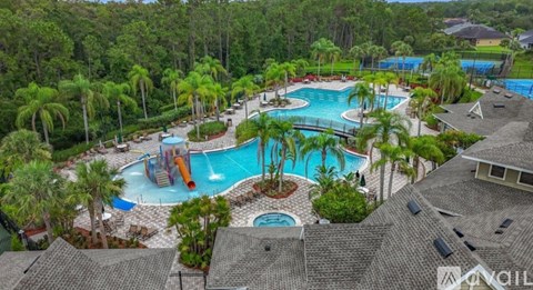 A large outdoor swimming pool surrounded by palm trees and a slide.