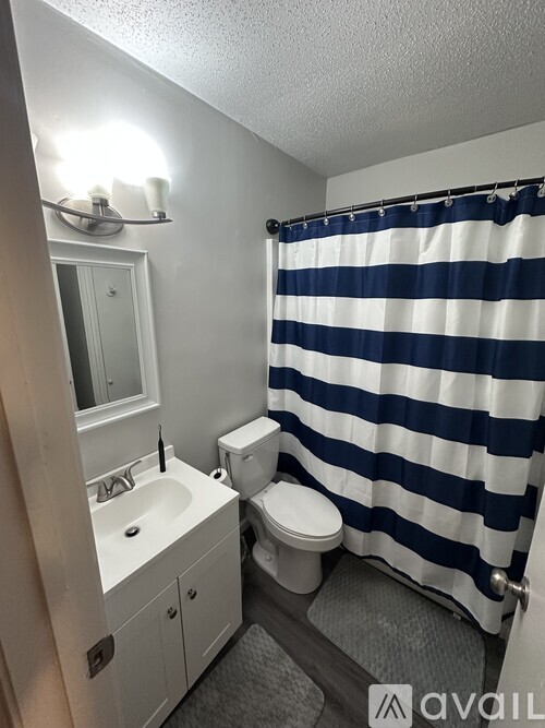 A bathroom with a sink, toilet, and striped shower curtain.