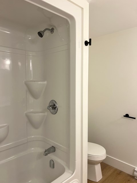 A white bathroom with a toilet and a walk in shower.