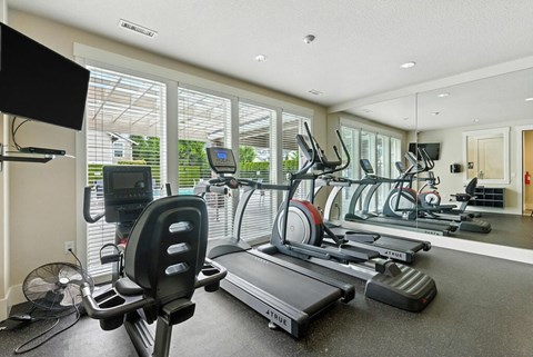 A gym with treadmills, elliptical machines, and a fan.