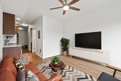 A living room with a brown couch and a black television.