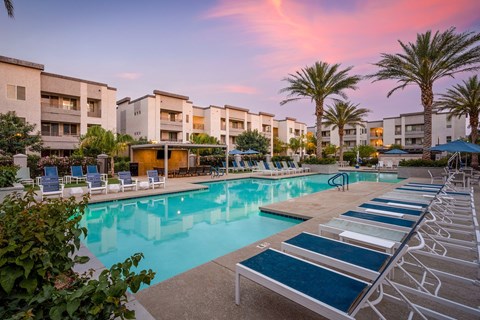 A swimming pool surrounded by sun loungers and palm trees.