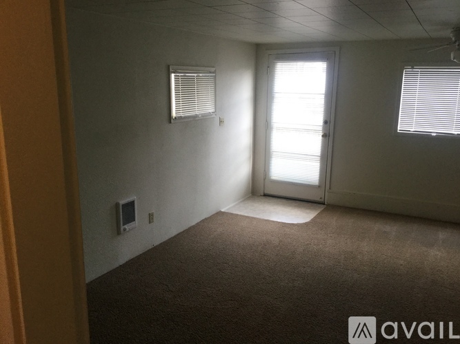 A carpeted room with a door and two windows.