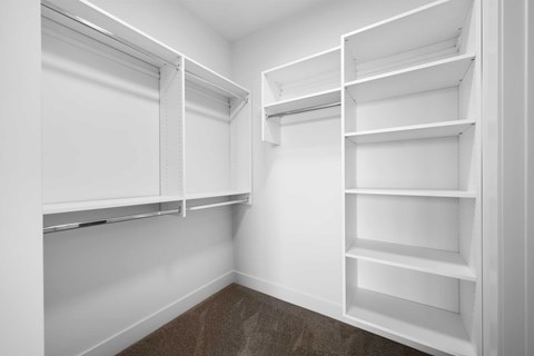 A white closet with shelves and a brown carpet.