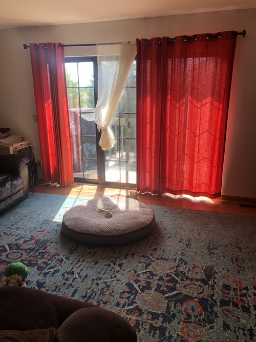 A cat is sitting on a round cat bed in front of a window with red curtains.