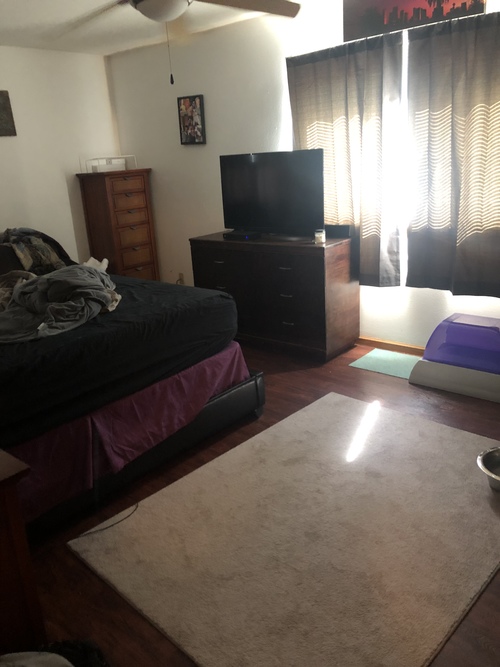 A bedroom with a bed, dresser, and television.