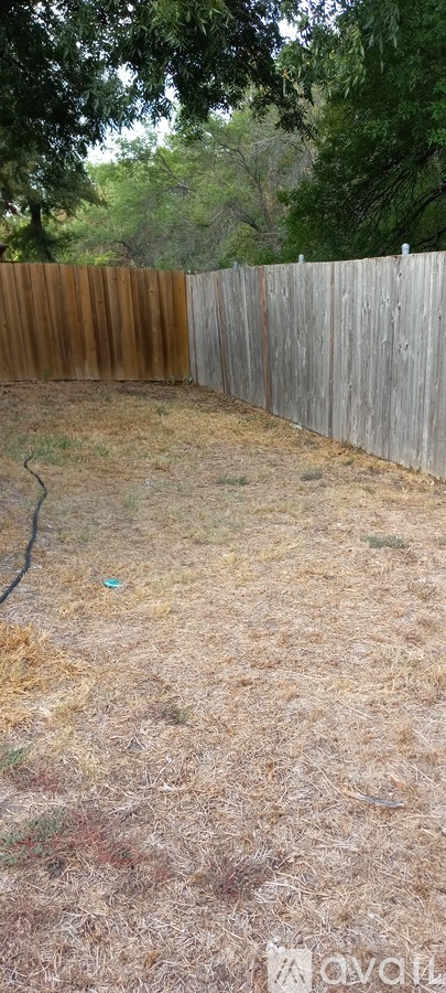 A backyard with a wooden fence and dry grass.
