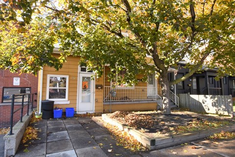 A yellow house with a white door and a tree in front.