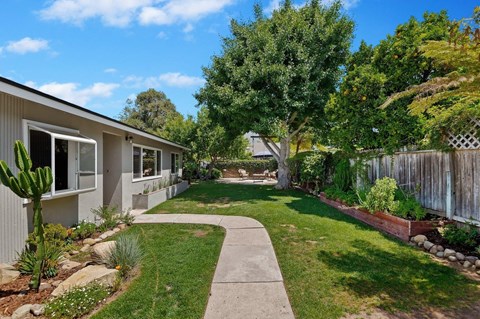 A backyard with a concrete walkway and a cactus plant.