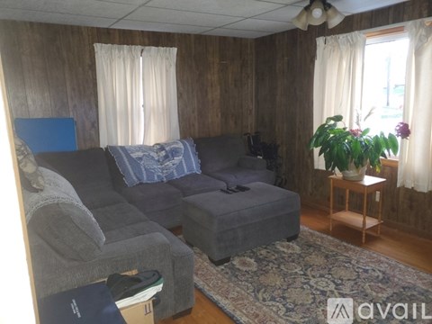 A living room with a grey couch and a small table with a plant on it.