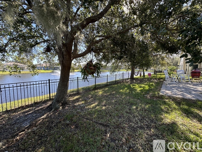 A tree with Spanish moss hanging from it's branches.