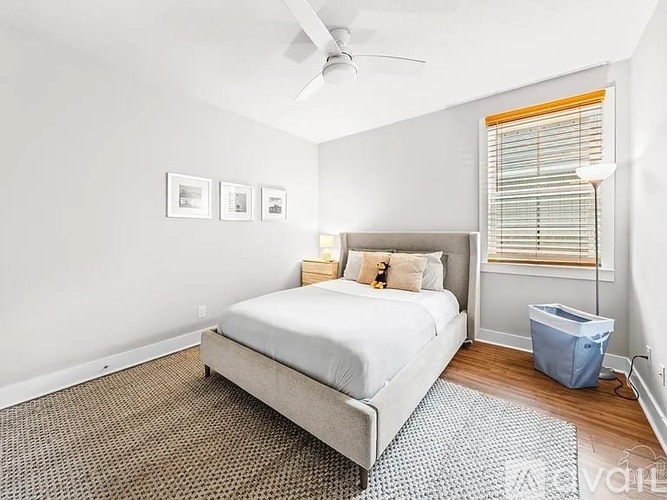 A bedroom with a bed, a ceiling fan, and a window with blinds.