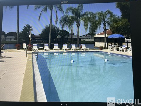 A pool with chairs around it and palm trees in the background.