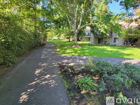A residential area with a house, trees, and a paved path.