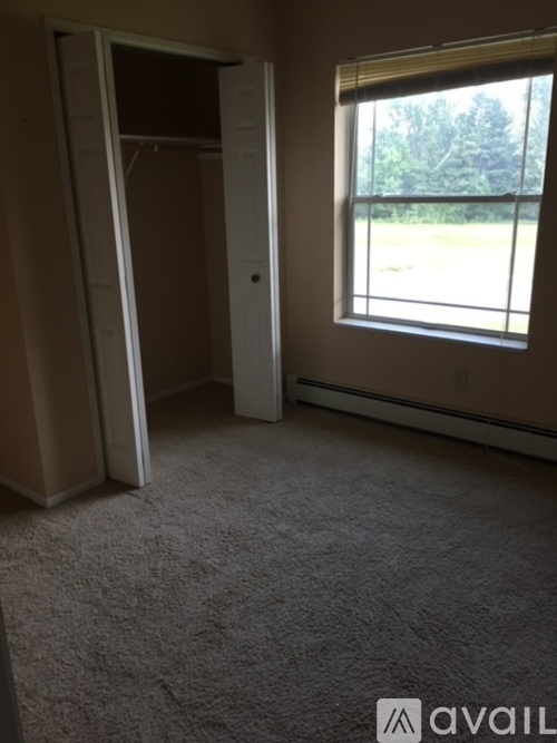 A room with a carpeted floor and a window showing trees outside.