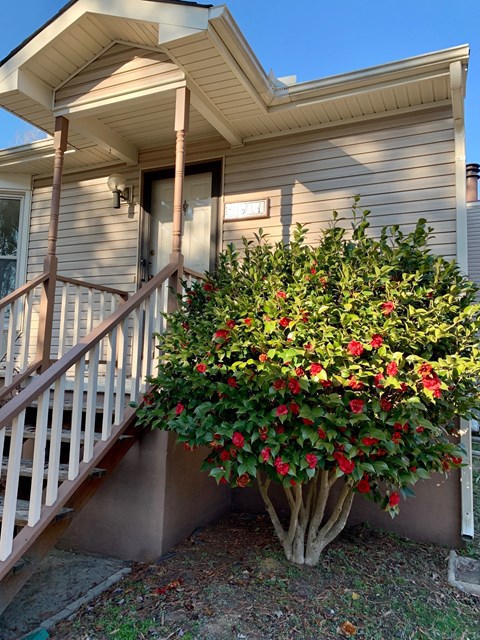 4 Baytree Court 2 Beds Apartment for Rent