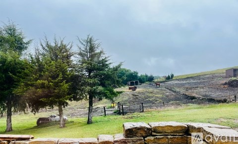 A grassy field with trees and a stone wall in the foreground.
