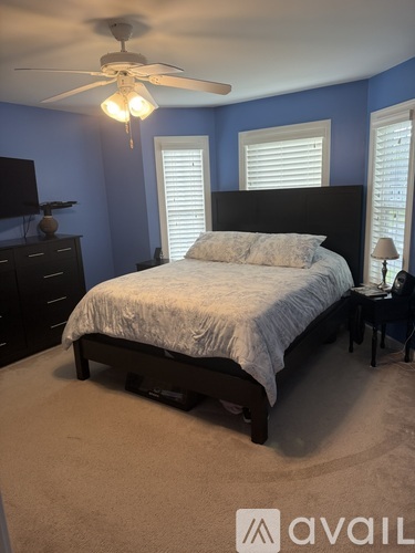 A bedroom with a bed, dresser, and ceiling fan.