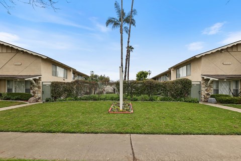 A palm tree stands in a small garden in front of apartment buildings.