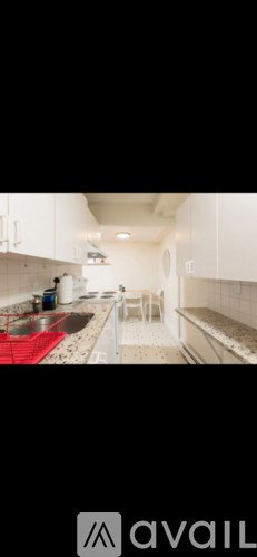 A kitchen with white cabinets and a red mat on the floor.