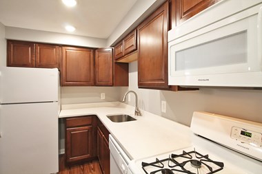 527-533 Des Plaines Ave & 7624-726 Wilcox St. 1 Bed Apartment for Rent Photo Gallery 1