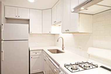533 Des Plaines Ave. 1-2 Beds Apartment for Rent
