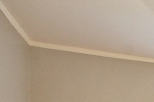805 & 807 1151 S. Oak Park Ave. Studio-1 Bed Apartment for Rent - Photo Gallery