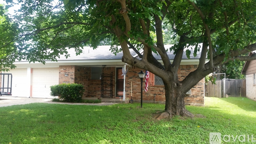 A tree with green leaves is in front of a house.