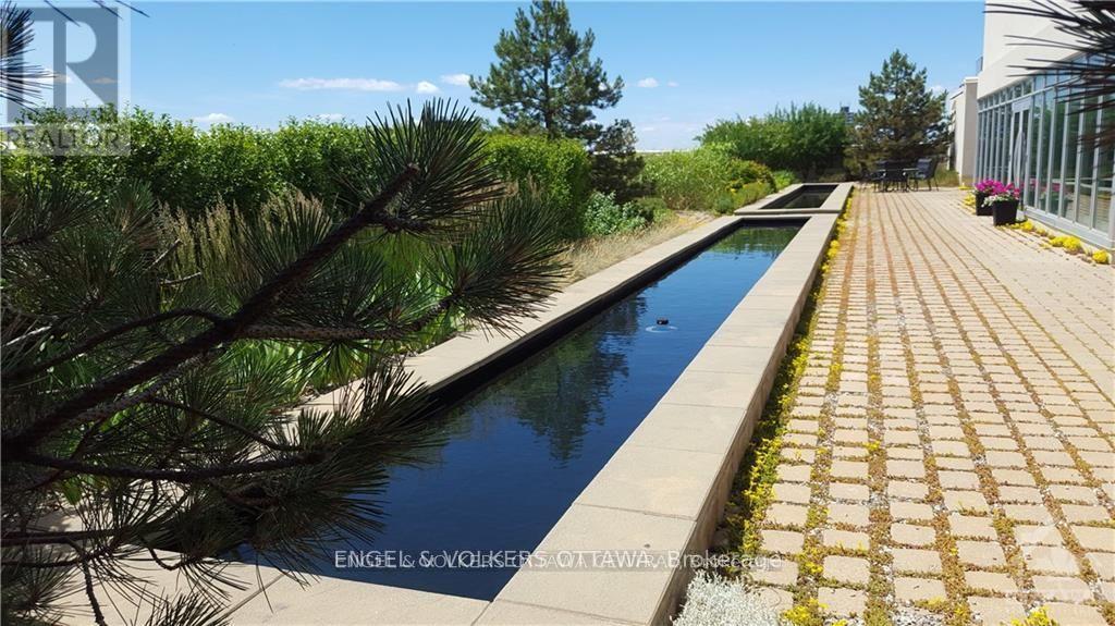 A long rectangular pool surrounded by a brick walkway and trees.