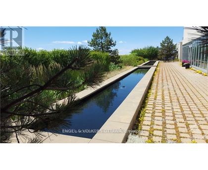 A long rectangular pool surrounded by a brick walkway and trees.