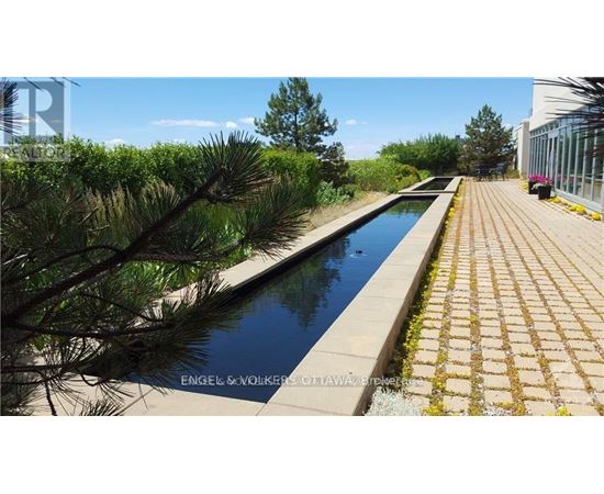 A long rectangular pool surrounded by a brick walkway and trees.