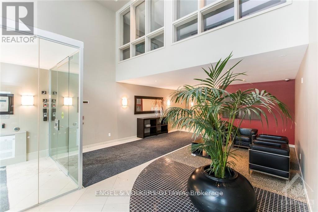 A modern living room with a glass door and a large plant in a black pot.