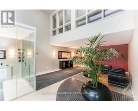 A modern living room with a glass door and a large plant in a black pot.