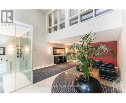 A modern living room with a glass door and a large plant in a black pot.