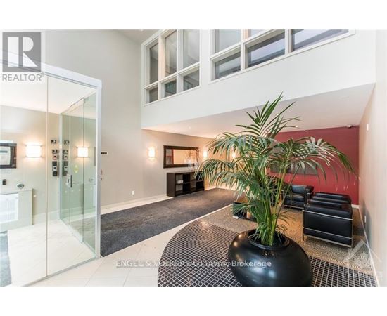 A modern living room with a glass door and a large plant in a black pot.