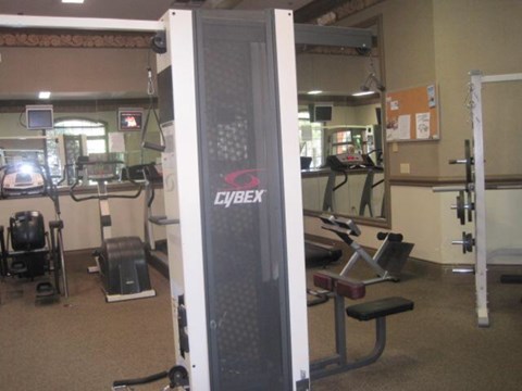 A Lybrax gym machine sits in a room with other gym equipment.