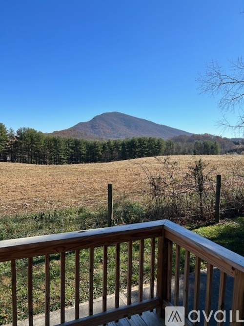 A mountain is in the distance behind a fence and trees.