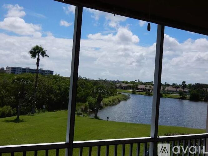 A view from a balcony looking out at a river and a palm tree.