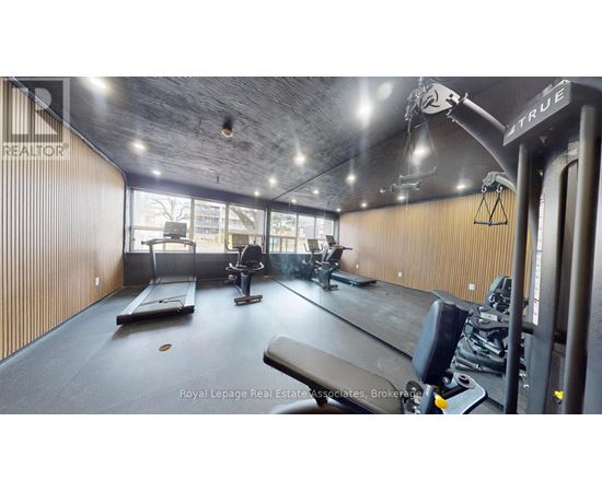 A gym with treadmills, weights, and exercise equipment.