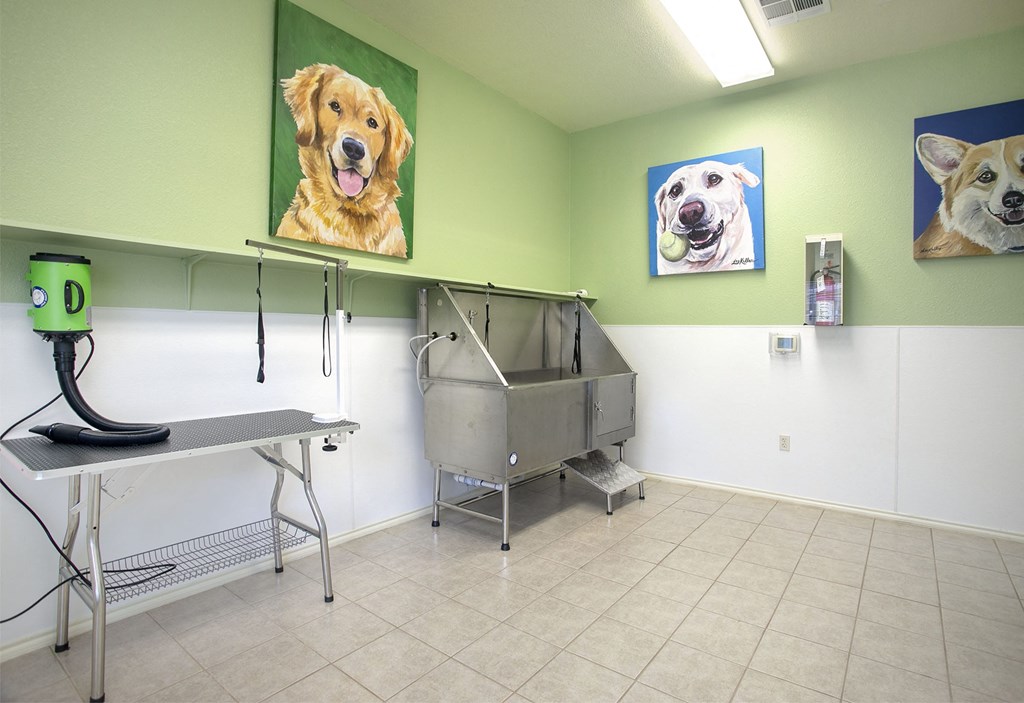 Dog-Friendly Apartments in Tyler, TX - Community Indoor Dog Spa with Bathing Area and Grooming Station.