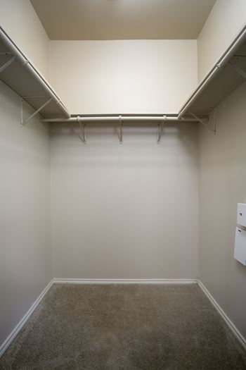 Large Closets with Double Shelving
