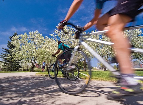 a group of people riding bikes on a street