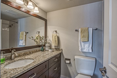 a bathroom with a toilet and a sink and a mirror